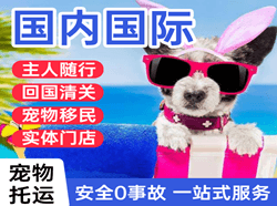 二连浩特国际宠物托运 【国